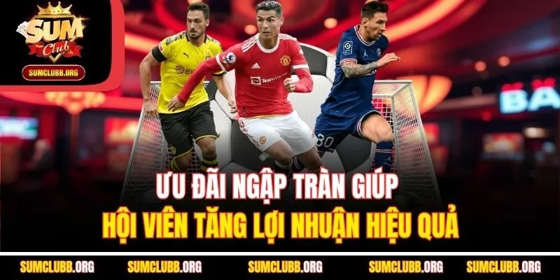 Ưu đãi ngập tràn giúp hội viên tăng lợi nhuận hiệu quả